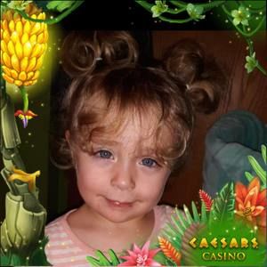 Meet your Posher, Shelly